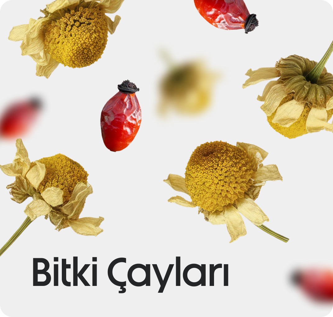 Bitki Çayları